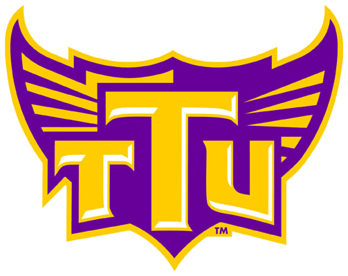 Tennessee Tech Golden Eagles 2006-Pres Alternate Logo v8 diy fabric transfers